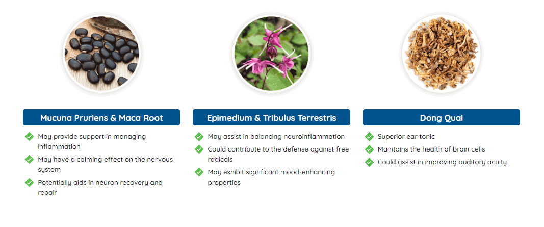 quietum-plus-ingredient